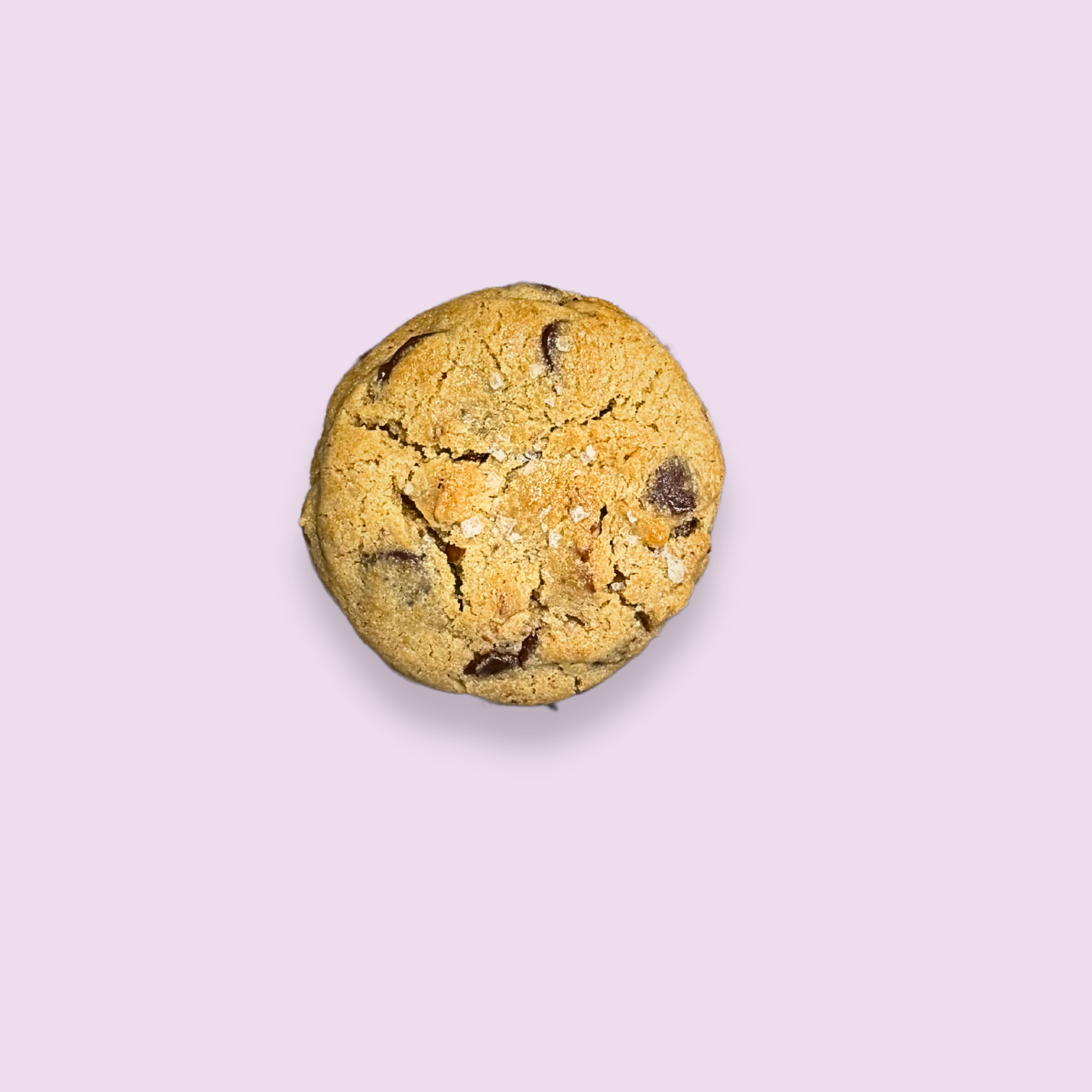 Theo | Pecan Chocolate Chunk