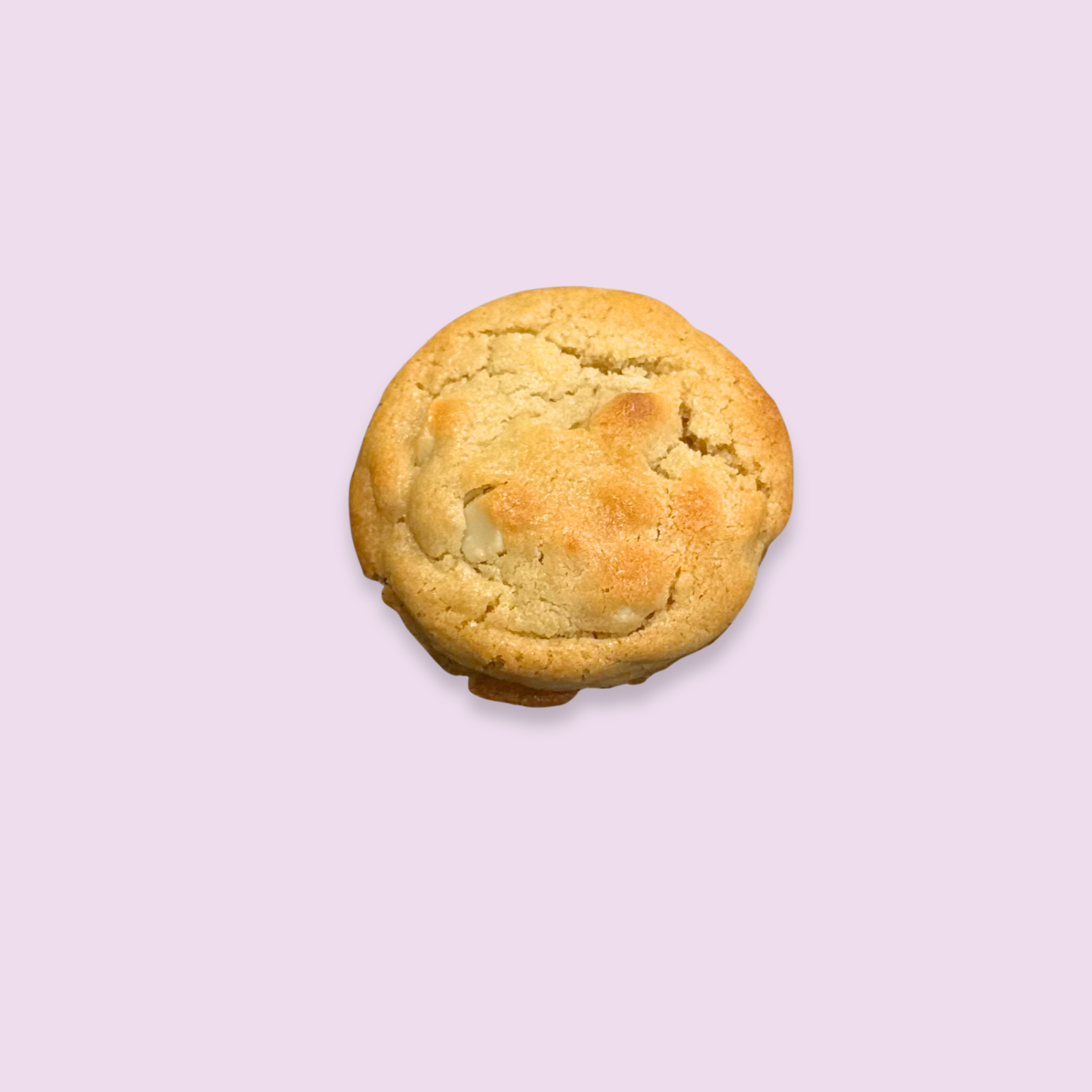 Lydia | White Chocolate Macademia